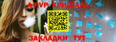PSILOCYBIN Гатчина