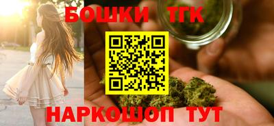 PSILOCYBIN Гатчина