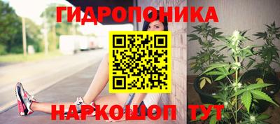 PSILOCYBIN Гатчина