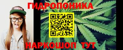 PSILOCYBIN Гатчина