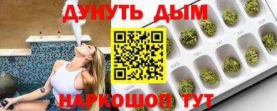 PSILOCYBIN Гатчина
