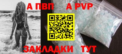 PSILOCYBIN Гатчина