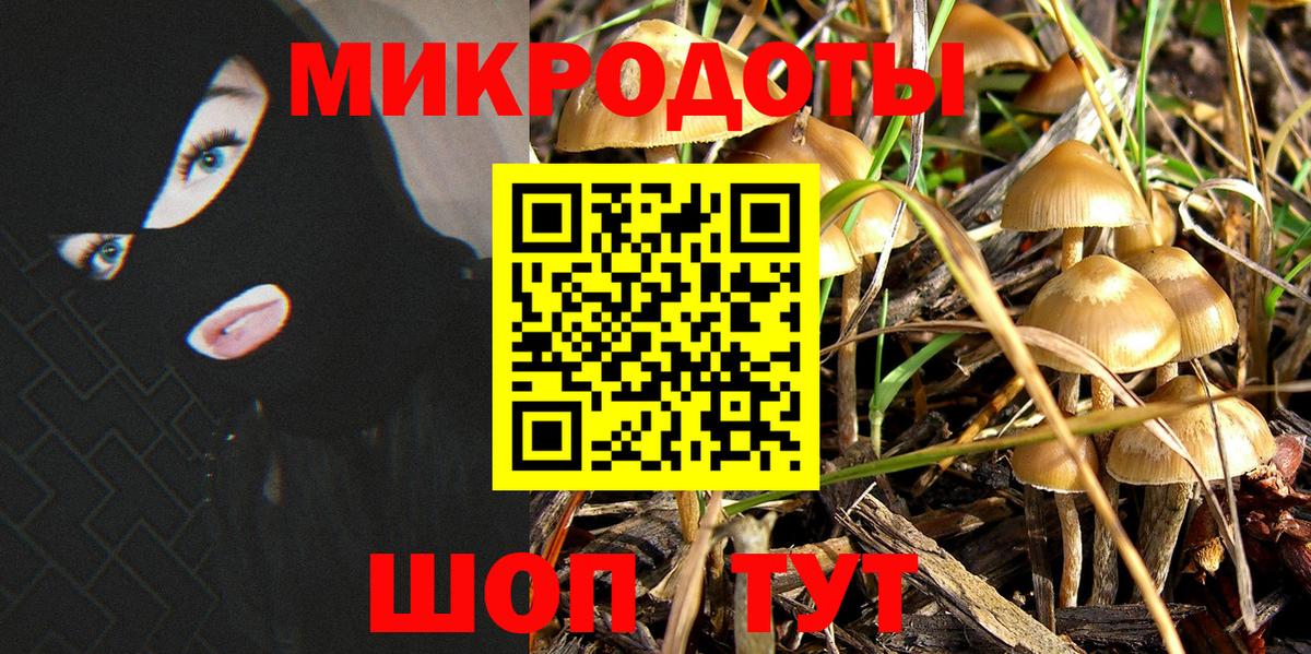 Псилоцибиновые грибы Psilocybine cubensis  Псилоцибиновые грибы мицелий  Вход с VPN  Аксай 