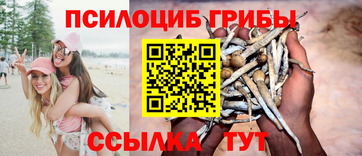 Галлюциногенные грибы ЛСД Аксай
